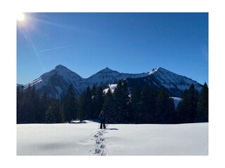 Winter-Schneeschuhwanderung