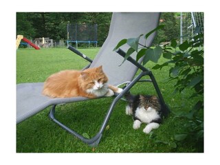 entspannen Sie wie Lucky und Snoopy