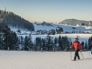 Schneeschuhwandern (c) Fuschlseeregion - Erber (16