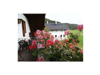 Blumen am Balkon Unterpertill Ebenau