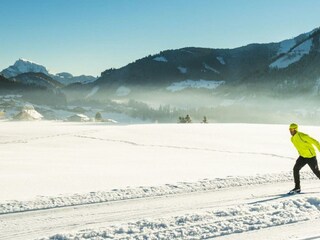 Langlaufen (c) Fuschlseeregion - Erber (40)