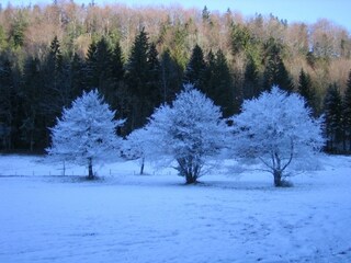 Winterlandschaft Fuschlsee