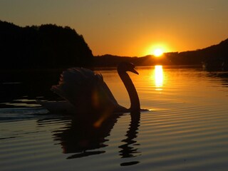 Sonnenuntergang am Fuschlsee