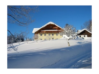 Eisenstattgut im Winterkleid