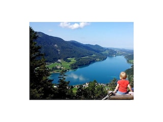 Blick auf den Fuschlsee