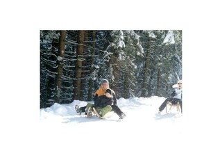 Rodeln von der Schafbachalm