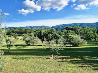 maison bertuli garden