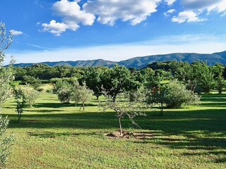 maison bertuli Garten