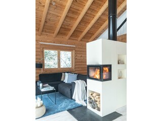 Huette_am_Wald_Dez_2021_CB-1196247