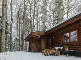 Huette_am_Wald_Dez_2021_CB-1196697