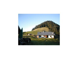 Besuch auf der Alm