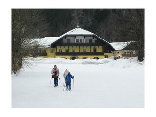 Lindenwirt im Winter