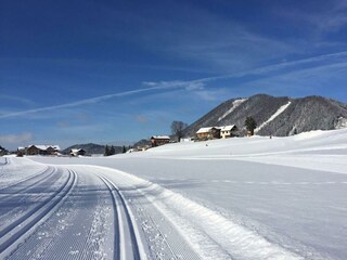 Blick von der Loipe auf unseren Hof