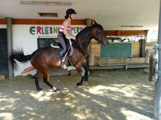 Lena und "Happy" im Einsatz