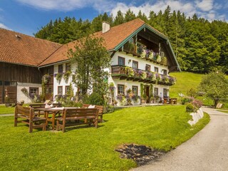 20170827_BambichlgutAussen_048_klein