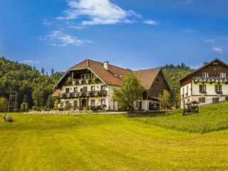 20170827_BambichlgutAussen_025_klein