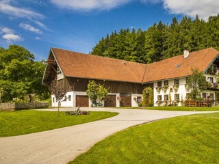 20170827_BambichlgutAussen_058_klein