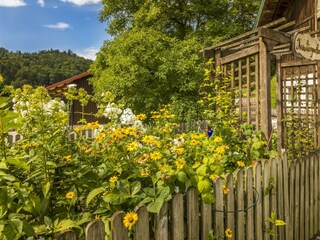 20170827_BambichlgutAussen_073_klein