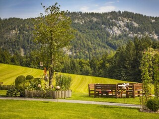 20170827_BambichlgutAussen_081_klein