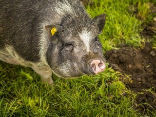 20170827_BambichlgutAussen_118_klein