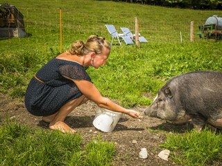 20170827_BambichlgutAussen_132_klein