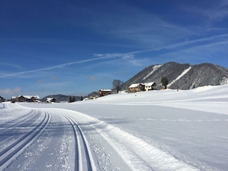 Blick von der Loipe auf unseren Hof