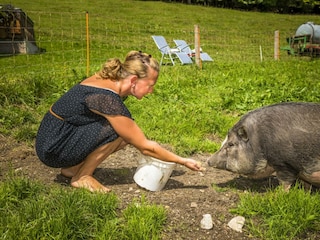 20170827_BambichlgutAussen_132_klein