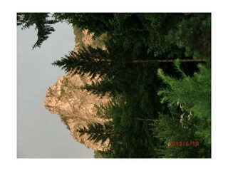 Nockstein v. Garten aus