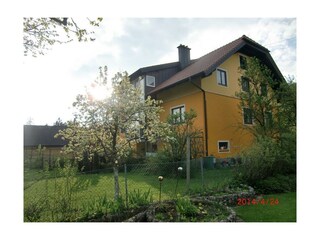 der Garten im Frühling