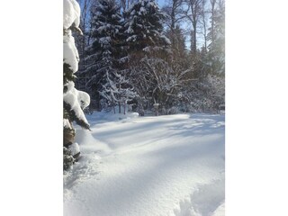 der Garten im Winter