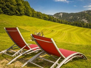 20170827_BambichlgutAussen_005_klein