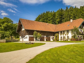 20170827_BambichlgutAussen_058_klein