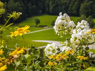 20170827_BambichlgutAussen_074_klein