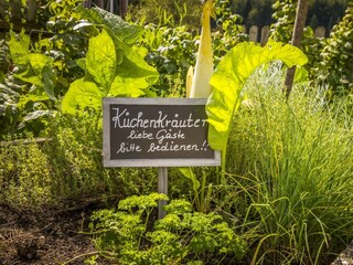 20170827_BambichlgutAussen_076_klein
