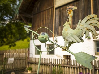 20170827_BambichlgutAussen_078_klein