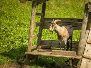 20170827_BambichlgutAussen_117_klein