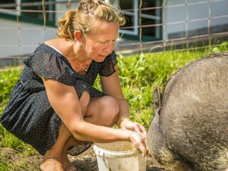 20170827_BambichlgutAussen_138_klein