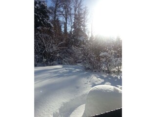 der Garten im Winter