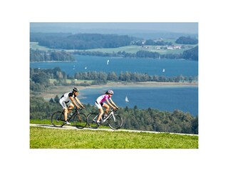 Rennrad4