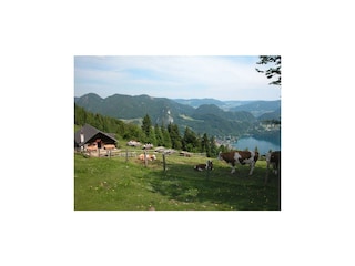 lärchenhütte
