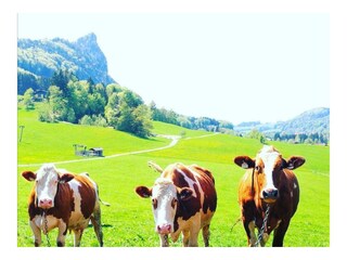 Screenshot_20210127_200044