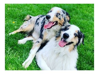 Screenshot_20210126_165039