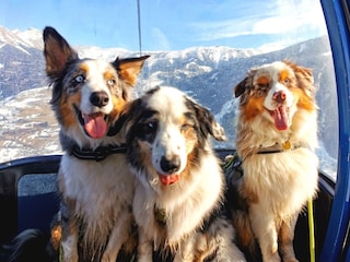 IMG_20250120_121812_edit_83875257159075