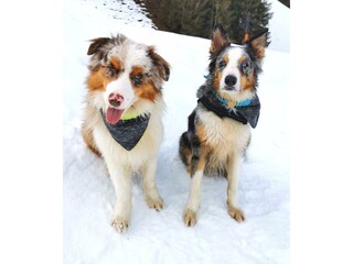 IMG_20250121_112855_edit_146242975805808