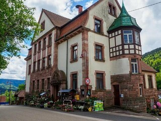 Apartamento de vacaciones Forbach Grabación al aire libre 5