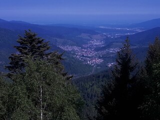 View as far as the Rhine Valley