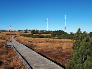 Hornisgrinde (1154m)