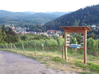 Apartamento de vacaciones Forbach Entorno 38