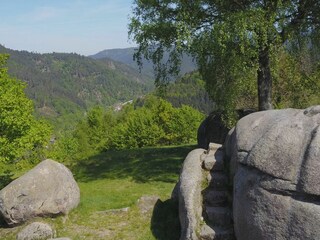 Apartamento de vacaciones Forbach Entorno 40
