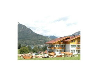 Wesenauerhof Westansicht